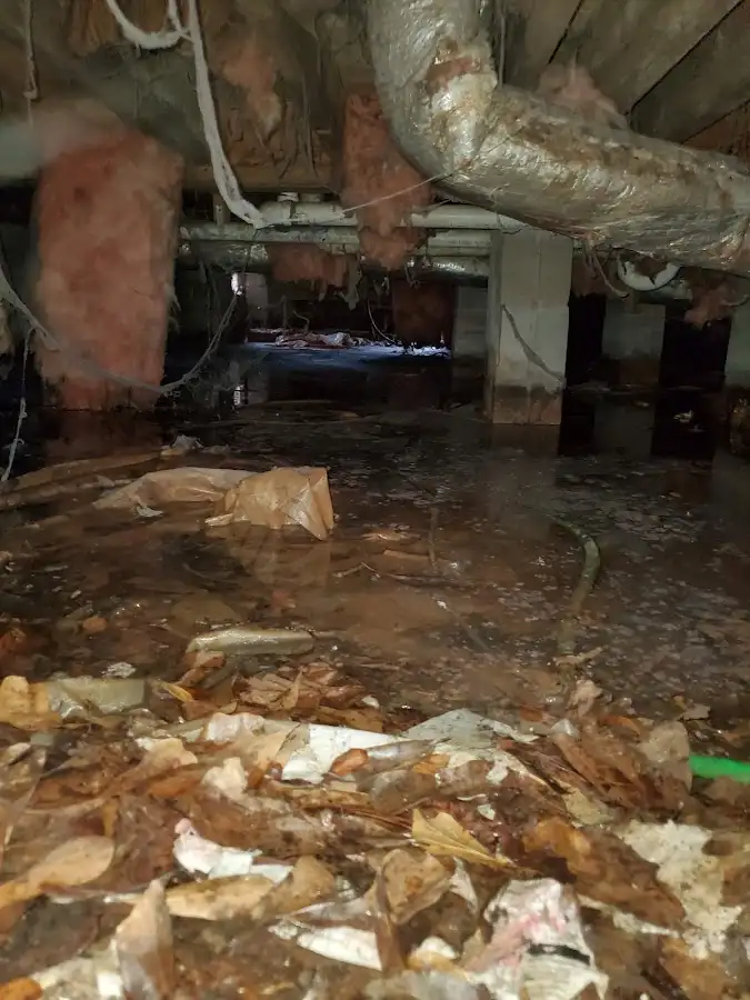 Crawl space flood assessment for Commercial Water Damage Restoration in Charleston